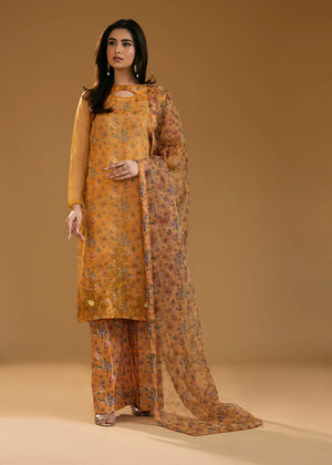 Raaz-e-Hayat - Amber Imran Official